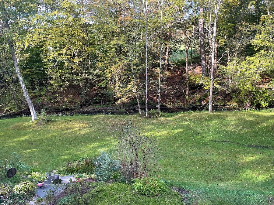 Furnished Finder property 801634_1 photo 7