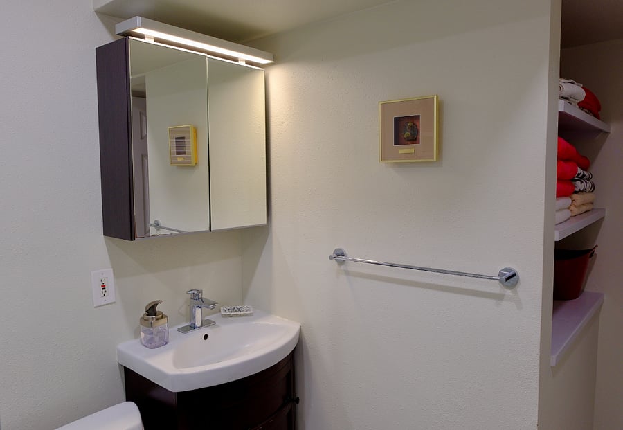 Bathroom showing sink and vanity. (Not visible is a Toto brand toilet)