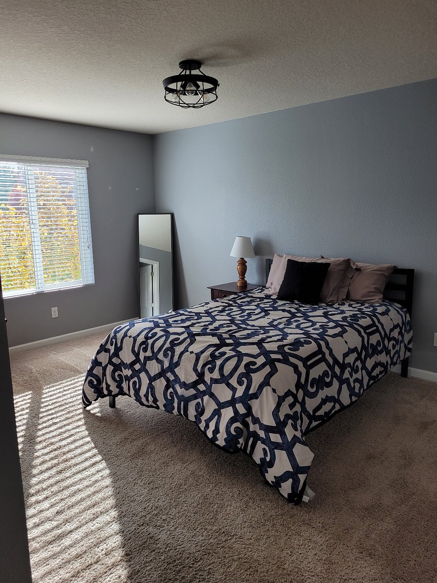 Furnished Finder property 801759_1 photo 8