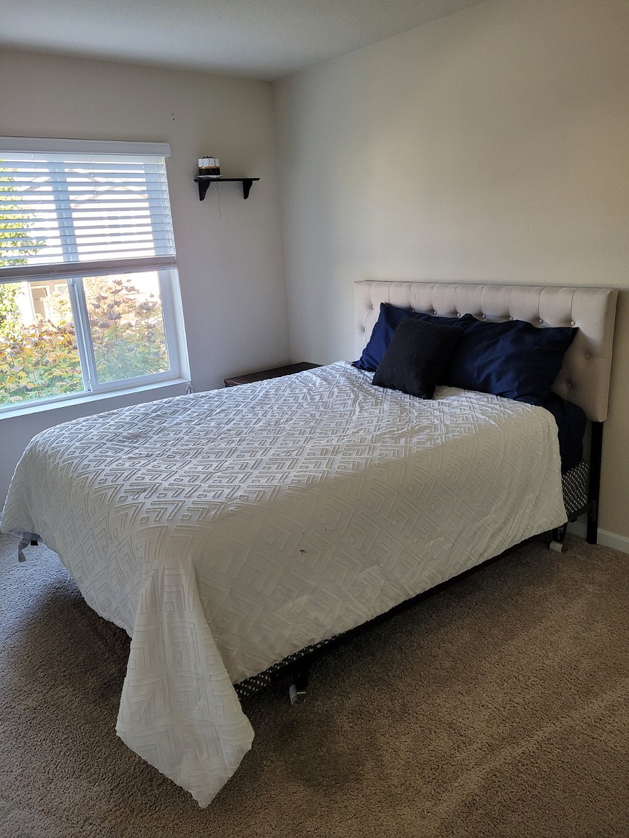 Furnished Finder property 801759_1 photo 11