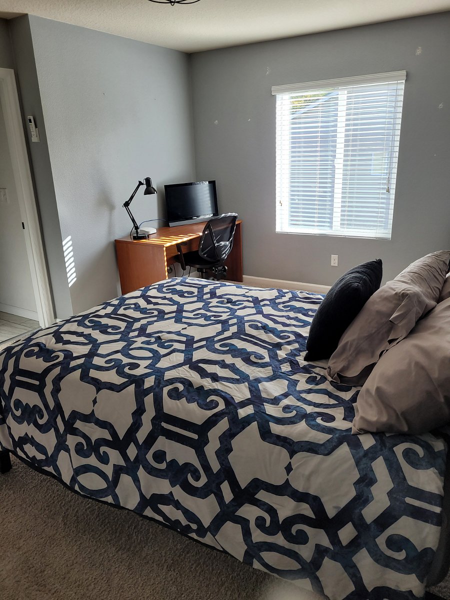 Furnished Finder property 801759_1 photo 9