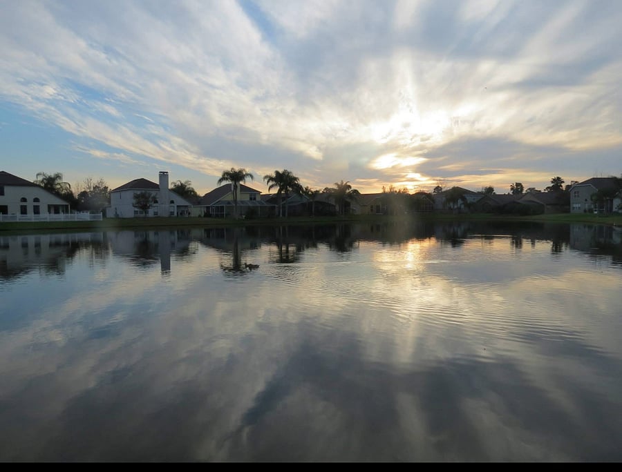 Furnished Finder property 801775_1 photo 7