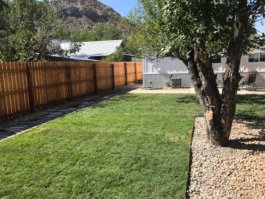 Back yard