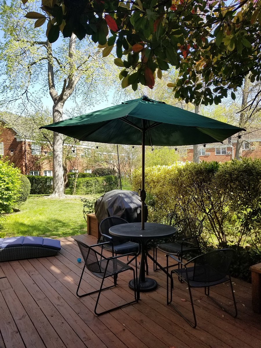 Furnished Finder property 801842_1 photo 3