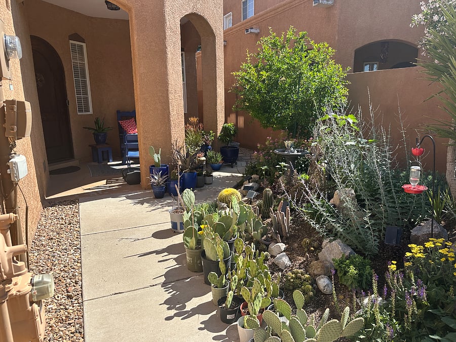 Furnished Finder property 801850_1 photo 9