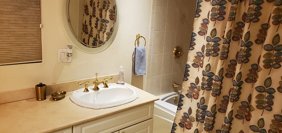Primary Bathroom - jetted tub