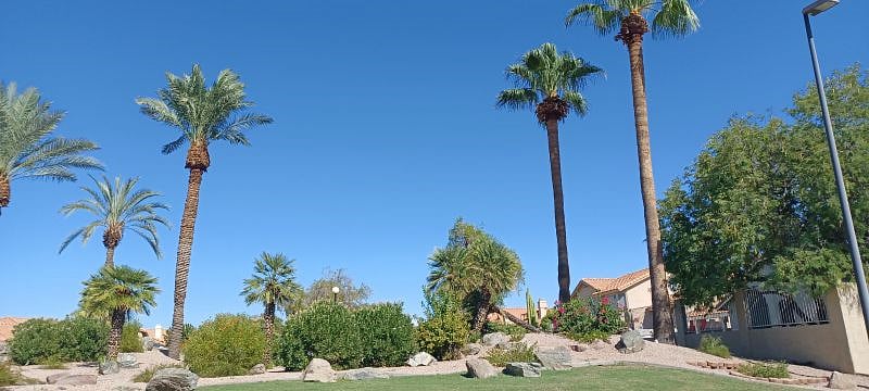 Furnished Finder property 801902_1 photo 83