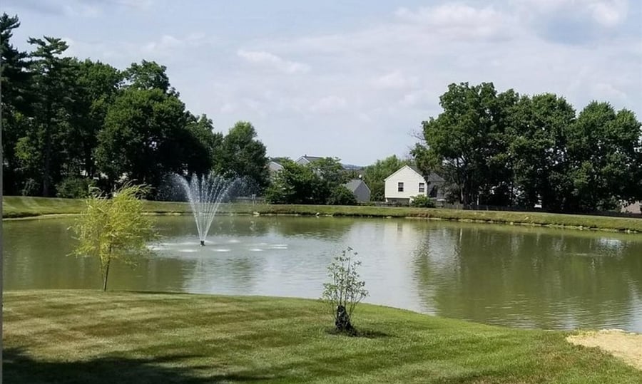 Pond with Fountain (Can Be Seen from Front Door)