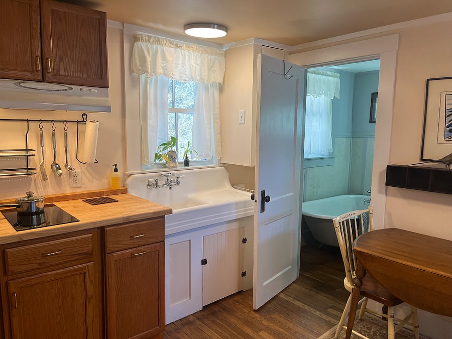 Induction cooktop and original farmhouse sink. Dish locker to the right of sink behind the door.
