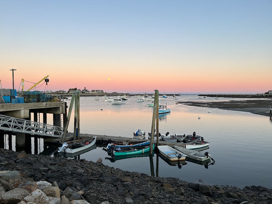 The BEST lobster rolls and chowder at Rye Harbor Lobster Pound. Really.