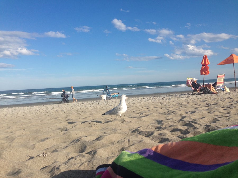 Beautiful  Rye Beach is less than 5 miles. Love to share all the local spots with you.