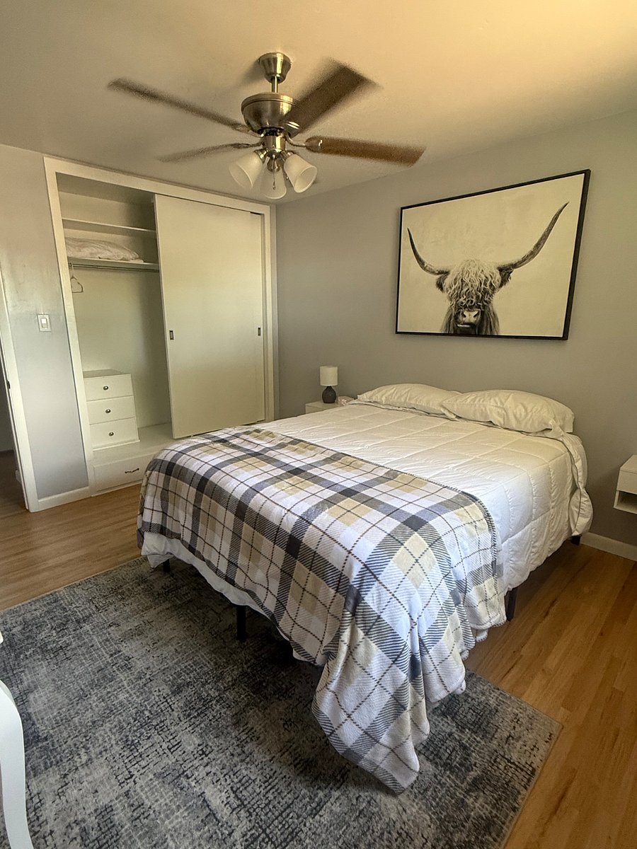 Furnished Finder property 802120_1 photo 12