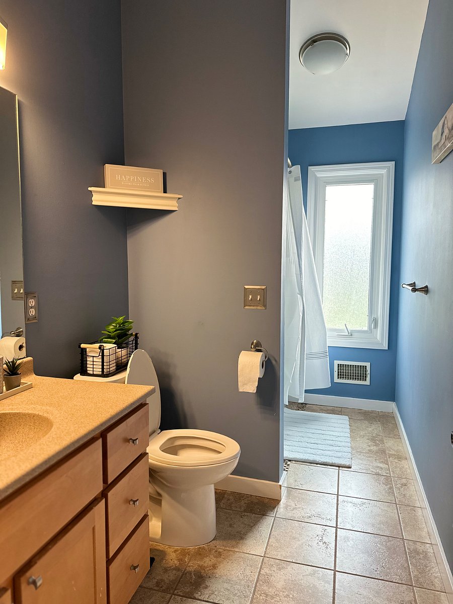 Furnished Finder property 802128_1 photo 5