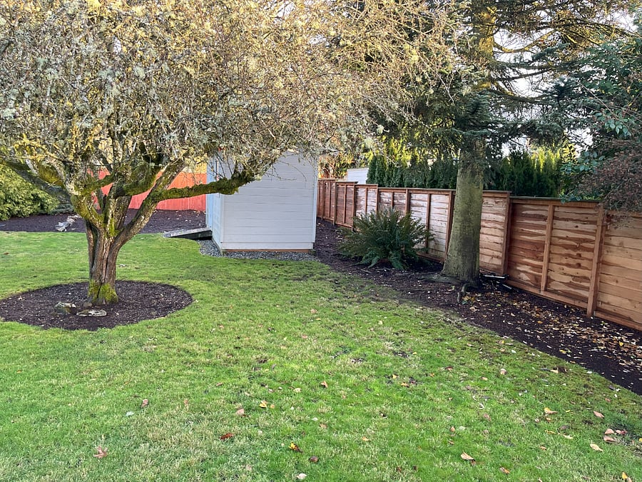 spacious backyard