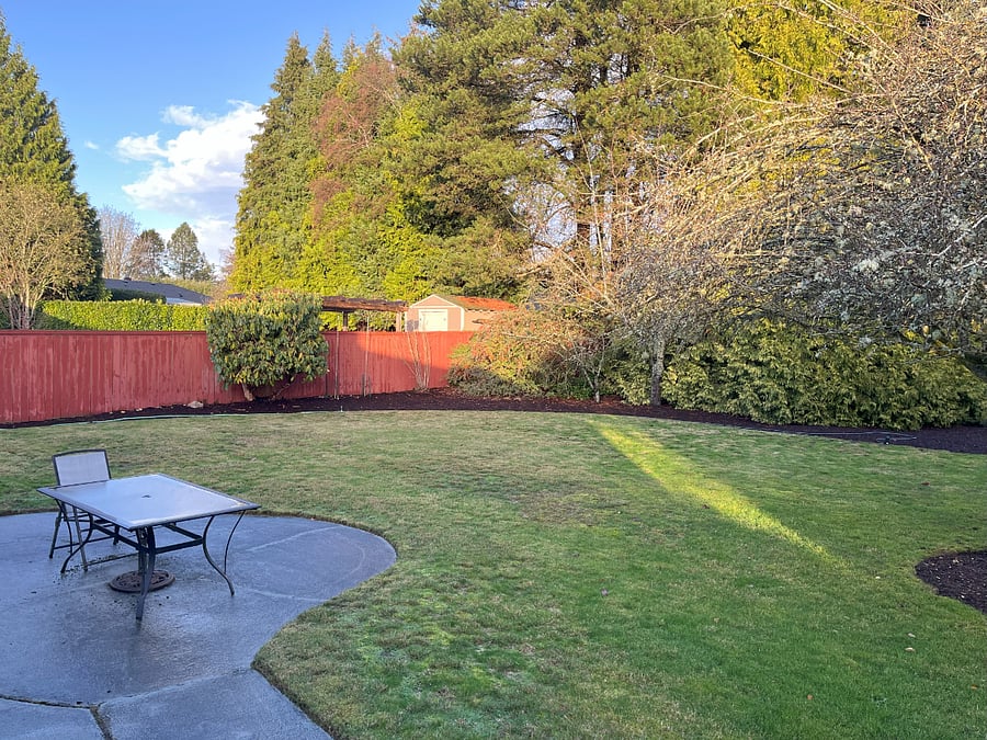 spacious backyard