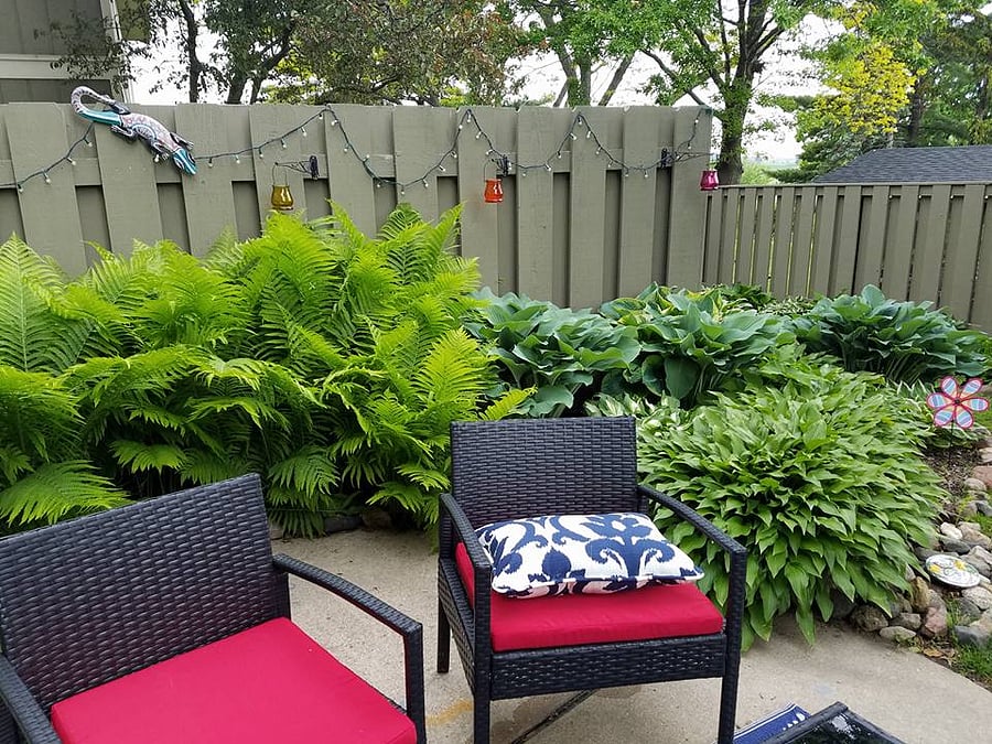 patio oasis