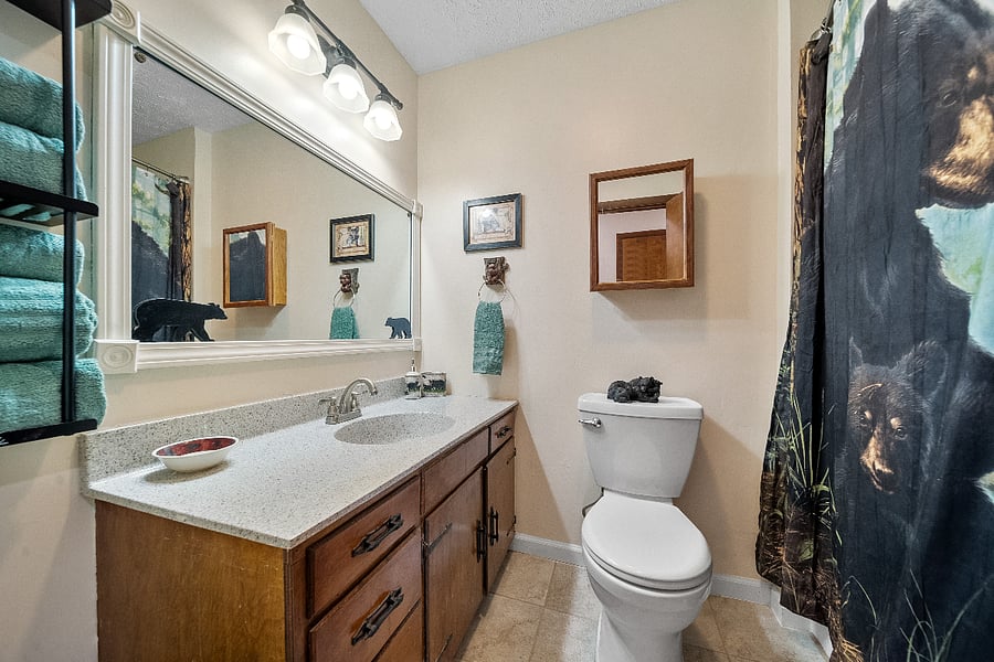 Furnished Finder property 802299_1 photo 20