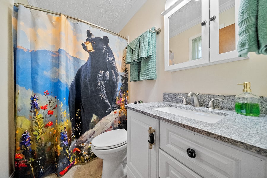 Furnished Finder property 802299_1 photo 16