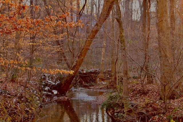 Creek Running by Greenway
