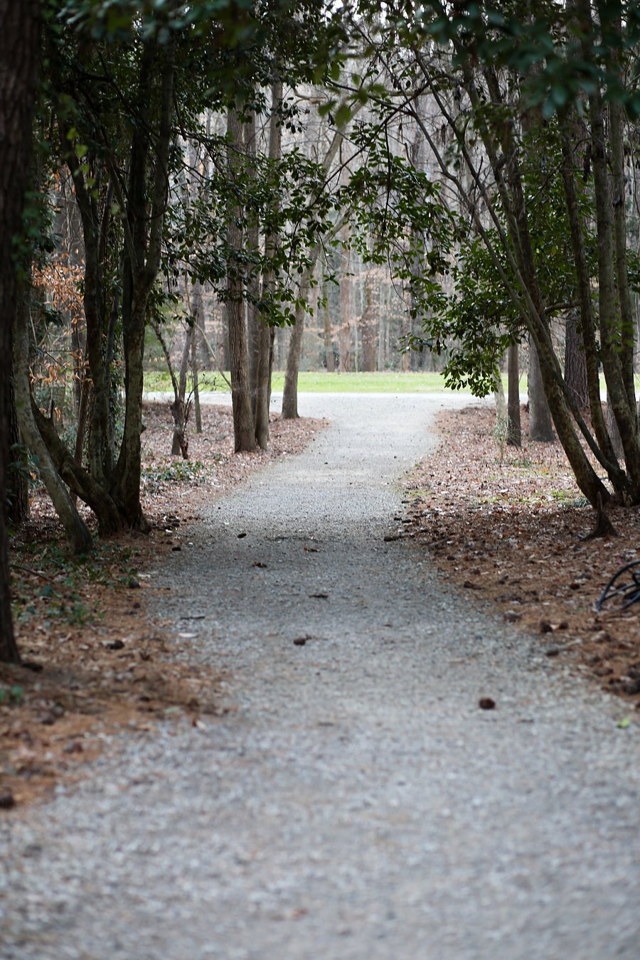 Path to Large Field