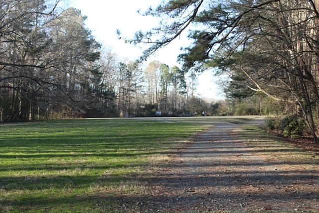 Field