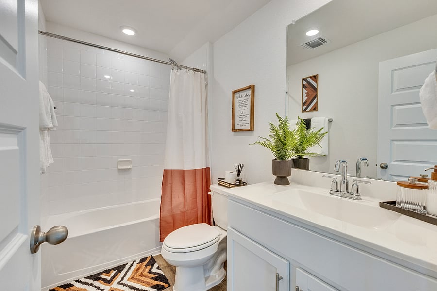 Furnished Finder property 802600_1 photo 48