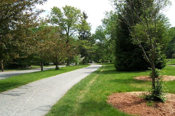Down the street from the Blackstone Walking Path