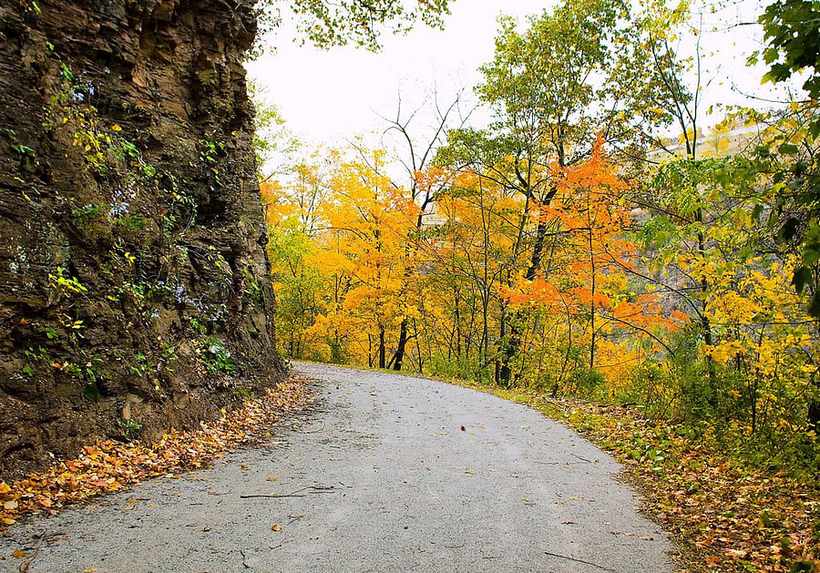 One of hundreds of trails in Frick Park