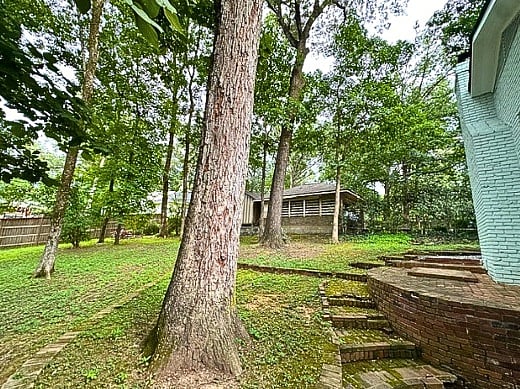 Back Yard from patio
