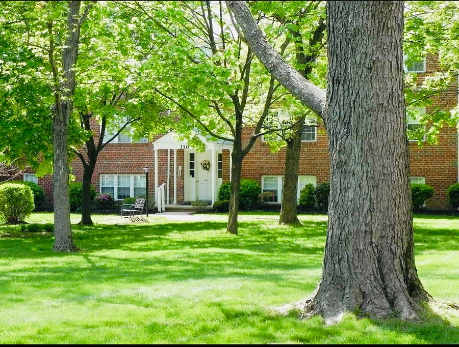 Furnished Finder property 802974_1 photo 14
