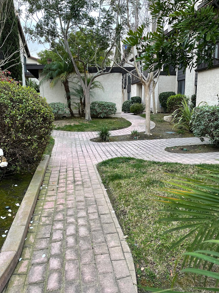 Furnished Finder property 803238_1 photo 18