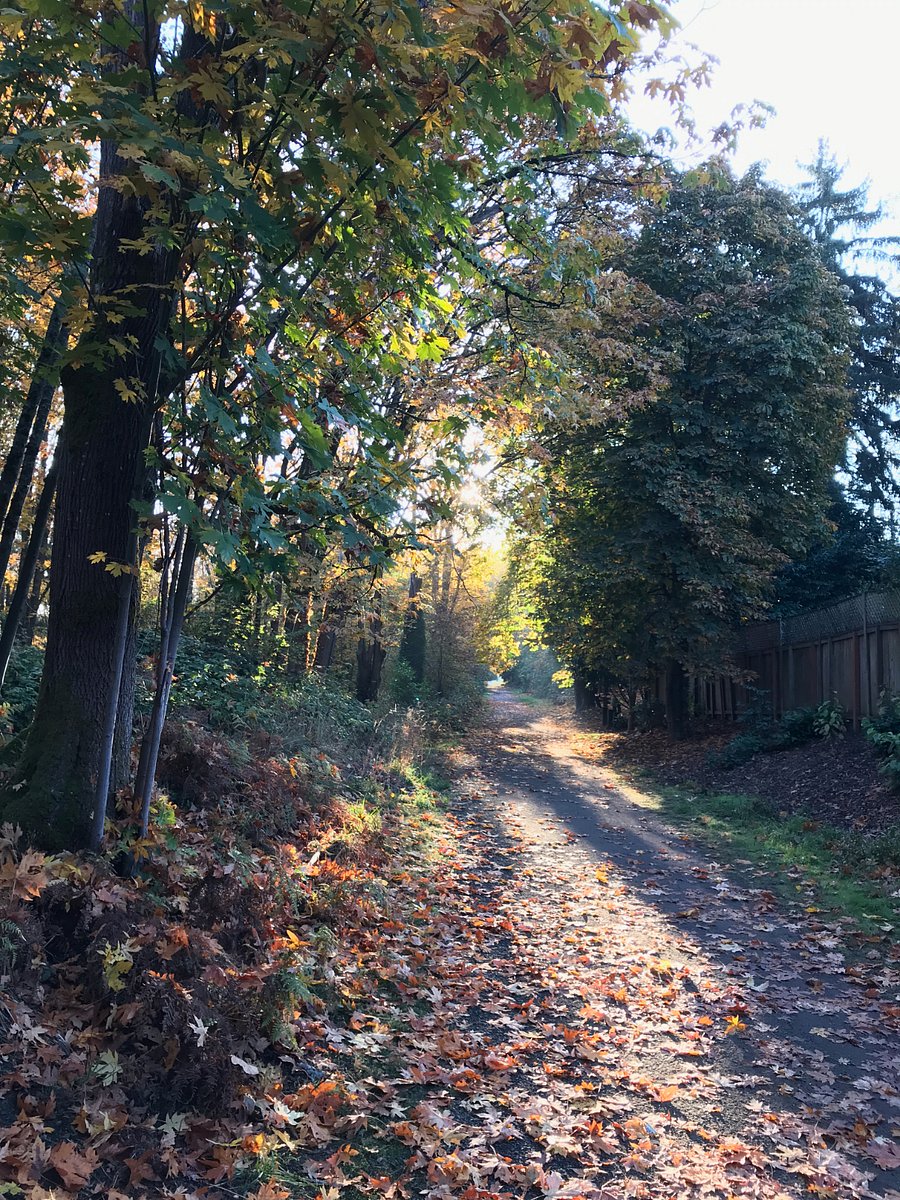 walking the ravine