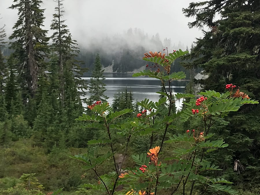 Hike to Snow Lake in the Cascades