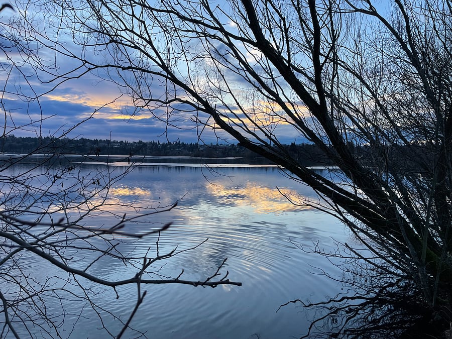 nearby Green Lake