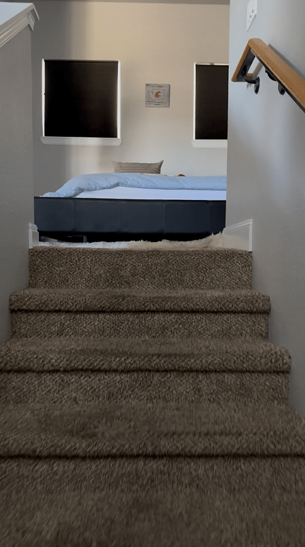 Furnished Finder property 803390_1 photo 24