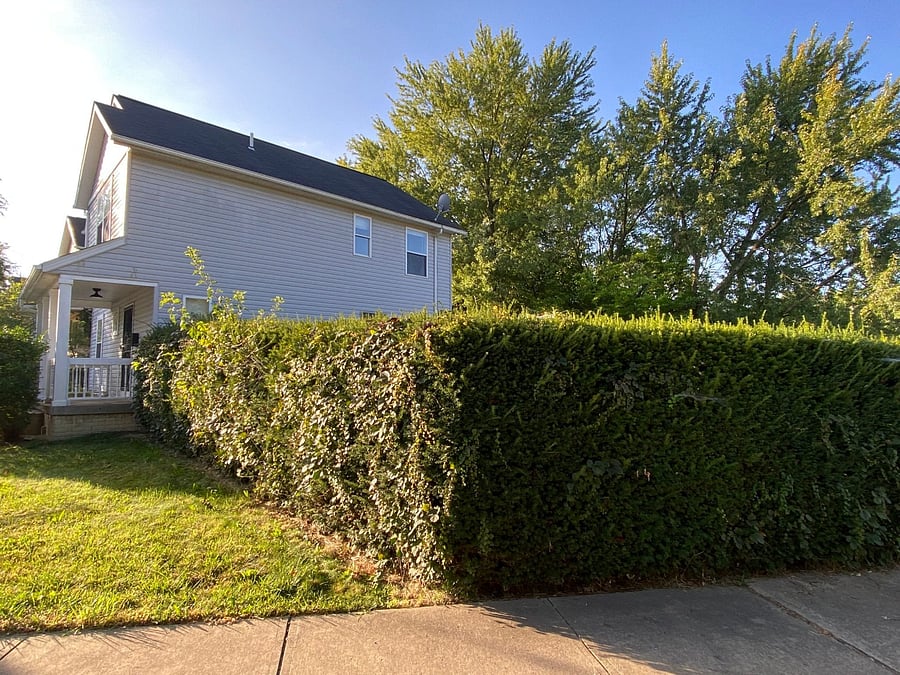 Furnished Finder property 803406_1 photo 26