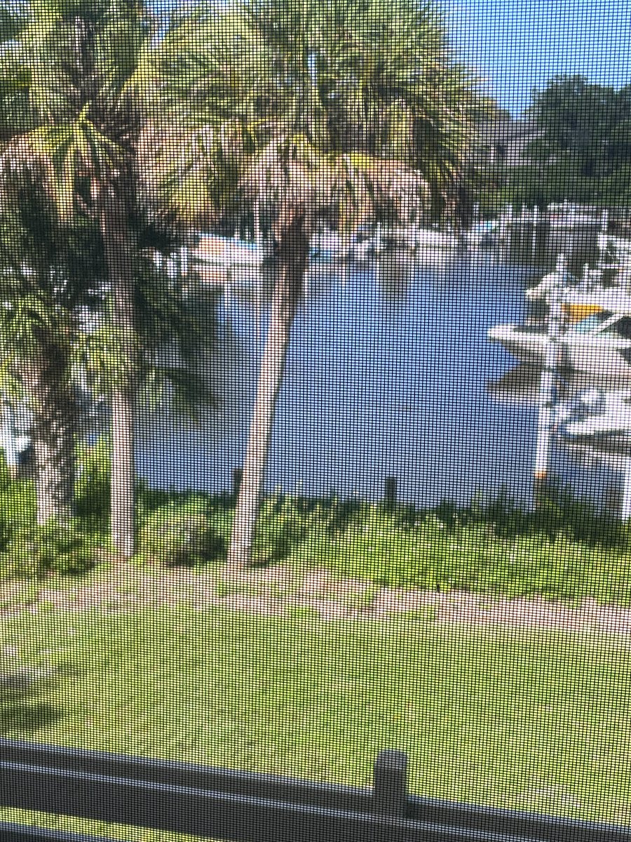 Furnished Finder property 803505_1 photo 11
