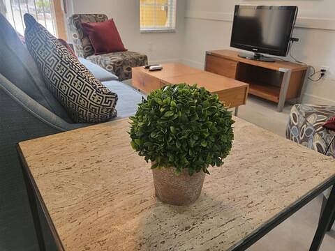 Furnished Finder property 803787_1 photo 26