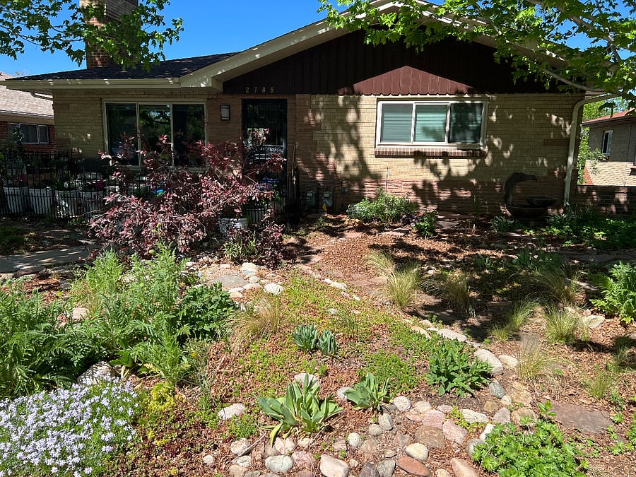 Front street view of upstairs unit. Entry to this advertised unit is down a set of stars to the left of front entry.