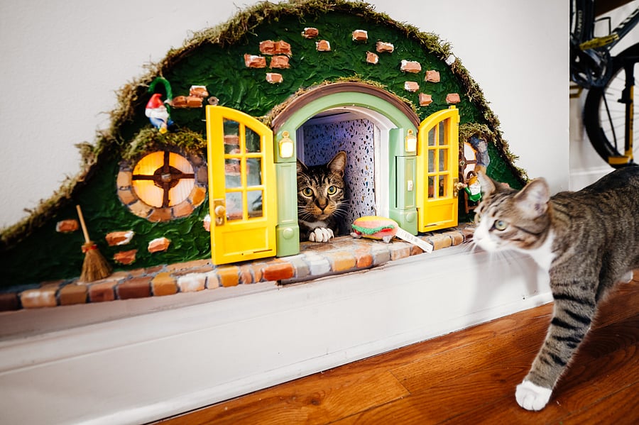 Say hello to my foster fail kitties. Ernie and Ninja. This is likely everyone's favorite part of my house - I made a custom hobbit house where the cats can go in and outside the house.