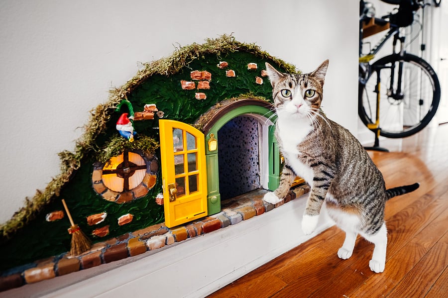 Another angle of the custom cat hobbit house. Hi Ninja!