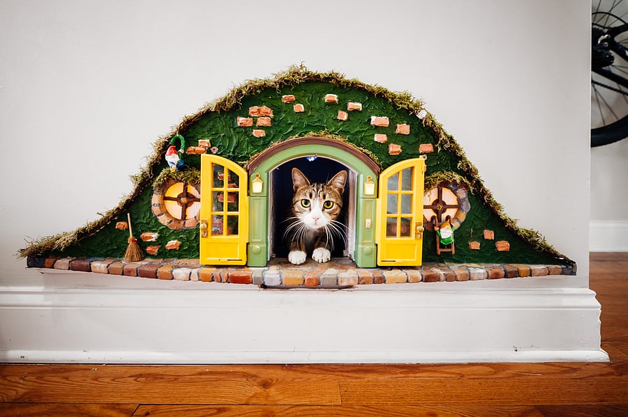 Another angle of the custom cat hobbit house. Hi Ninja!