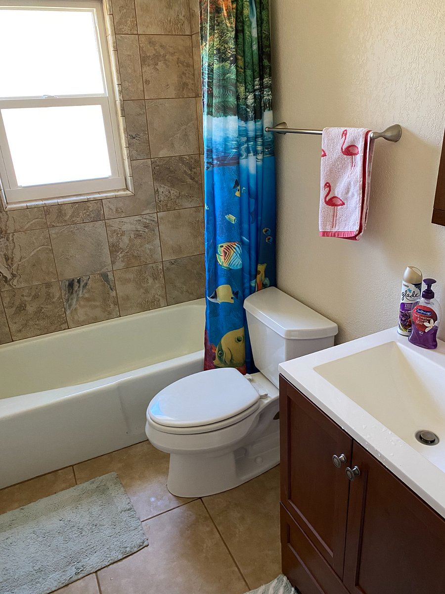 Furnished Finder property 803981_1 photo 23