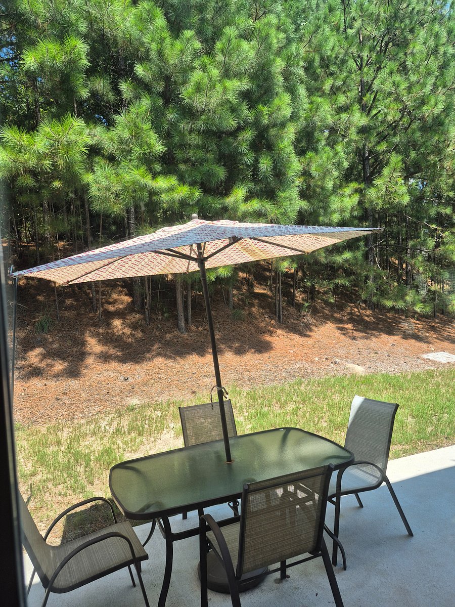 Furnished Finder property 803988_1 photo 21