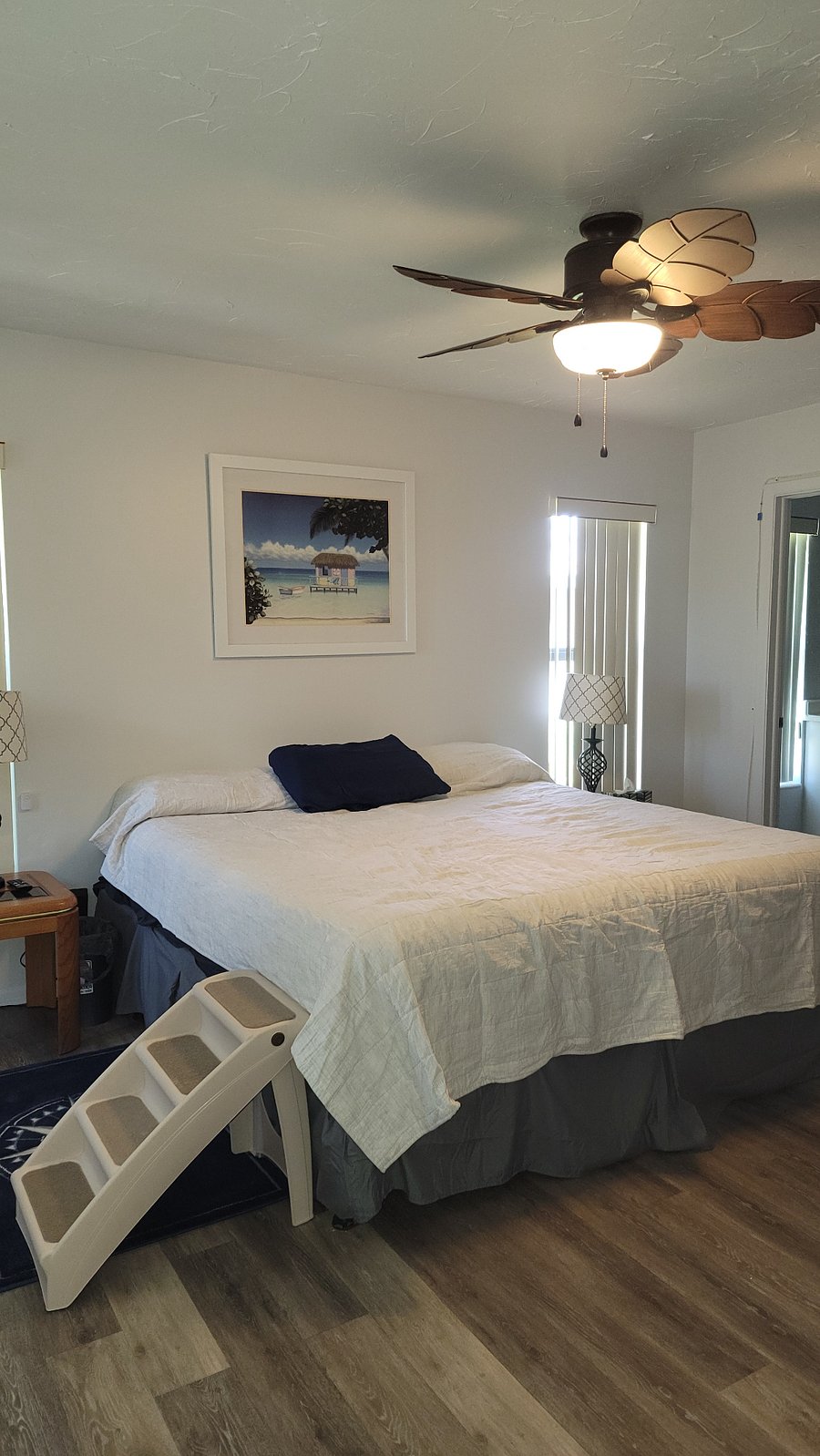 Master Bedroom with King Size bed