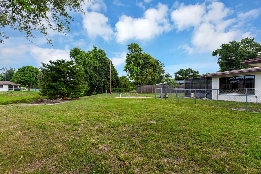 Back yard