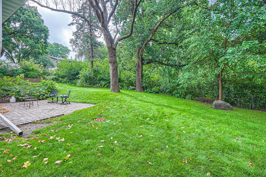 Furnished Finder property 804181_1 photo 11