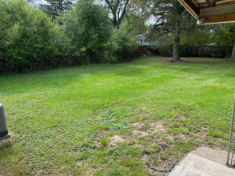 Furnished Finder property 804214_1 photo 23