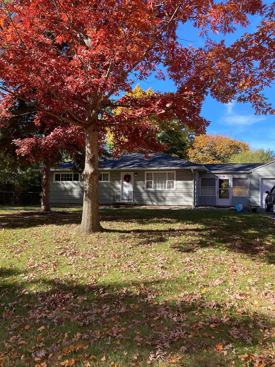 Furnished Finder property 804214_1 photo 25