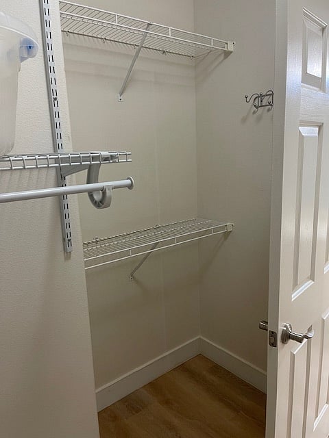 Primary walk-in closet behind the door.